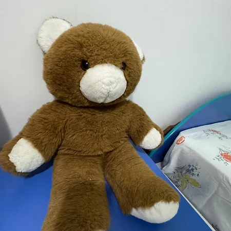 Toptani Center Apartament