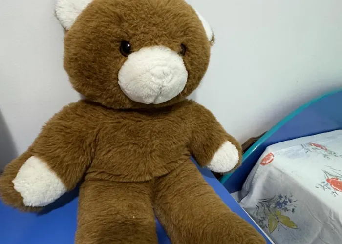 Toptani Center Apartament